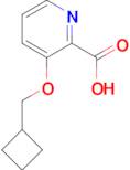 3-(Cyclobutylmethoxy)pyridine-2-carboxylic acid