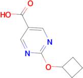 2-Cyclobutoxypyrimidine-5-carboxylic acid