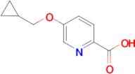 5-(Cyclopropylmethoxy)pyridine-2-carboxylic acid