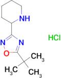 2-(5-tert-Butyl-1,2,4-oxadiazol-3-yl)piperidine hydrochloride