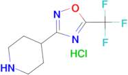 4-[5-(Trifluoromethyl)-1,2,4-oxadiazol-3-yl]piperidine hydrochloride