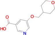 5-(Oxan-4-ylmethoxy)pyridine-3-carboxylic acid