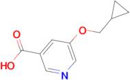 5-(Cyclopropylmethoxy)pyridine-3-carboxylic acid