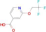 2-(2,2,2-Trifluoroethoxy)pyridine-4-carboxylic acid