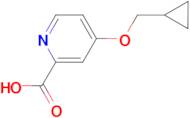 4-(Cyclopropylmethoxy)pyridine-2-carboxylic acid