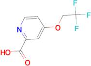 4-(2,2,2-Trifluoroethoxy)pyridine-2-carboxylic acid