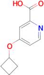 4-Cyclobutoxypyridine-2-carboxylic acid