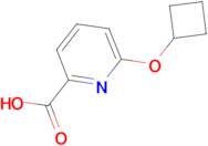 6-Cyclobutoxypyridine-2-carboxylic acid