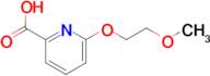 6-(2-Methoxyethoxy)pyridine-2-carboxylic acid