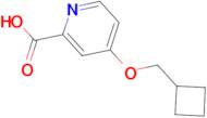 4-(Cyclobutylmethoxy)pyridine-2-carboxylic acid