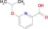 6-(Propan-2-yloxy)pyridine-2-carboxylic acid