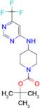 tert-Butyl 4-[6-(trifluoromethyl)pyrimidin-4-yl]aminopiperidine-1-carboxylate