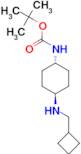 tert-Butyl (1R*,4R*)-4-[(cyclobutylmethyl)amino]cyclohexylcarbamate