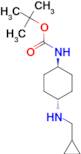 tert-Butyl (1R*,4R*)-4-[(cyclopropylmethyl)amino]-cyclohexylcarbamate