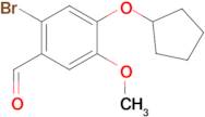 2-Bromo-4-(cyclopentyloxy)-5-methoxybenzaldehyde