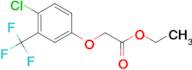 Ethyl 2-[4-chloro-3-(trifluoromethyl)phenoxy]-acetate