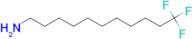 11,11,11-Trifluoro-undecylamine