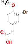 3-Bromo-4-methoxyphenylacetic acid