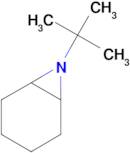 7-tert-Butyl-7-azabicyclo[4.1.0]heptane