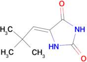 (5Z)-5-(2,2-Dimethylpropylidene)imidazolidine-2,4-dione