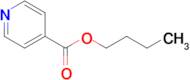 n-Butyl isonicotinate