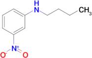 N-Butyl-3-nitroaniline