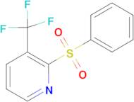 2-(Benzenesulfonyl)-3-(trifluoromethyl)pyridine