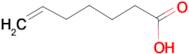 6-Heptenoic acid