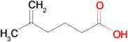 5-Methyl-5-hexenoic acid