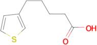 5-(3-Thienyl)pentanoic acid