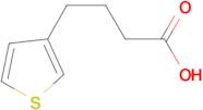 4-(3-Thienyl)butyric acid