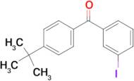 4-tert-Butyl-3'-iodobenzophenone