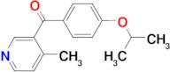 3-(4-Isopropoxybenzoyl)-4-methylpyridine