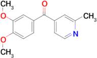 4-(3,4-Dimethoxybenzoyl)-2-methylpyridine