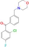 2-chloro-4-fluoro-3'-morpholinomethyl benzophenone