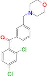 2,4-dichloro-3'-morpholinomethyl benzophenone