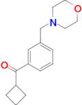 cyclobutyl 3-(morpholinomethyl)phenyl ketone