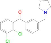 2,3-dichloro-3'-pyrrolidinomethyl benzophenone