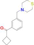 cyclobutyl 3-(thiomorpholinomethyl)phenyl ketone