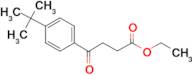 ethyl 4-(4-t-butylphenyl)-4-oxobutyrate