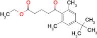 Ethyl 5-(4-tert-Butyl-2,6-dimethylphenyl)-5-oxovalerate