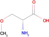 (R)-2-Amino-3-methoxypropanoic acid
