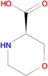 (R)-Morpholine-3-carboxylic acid