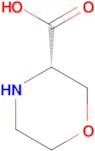 (S)-Morpholine-3-carboxylic acid