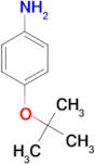 4-(tert-Butoxy)aniline