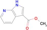 Methyl 1H-pyrrolo[2,3-b]pyridine-3-carboxylate