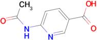 6-Acetamidonicotinic acid