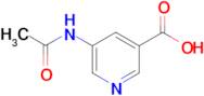 5-Acetamidonicotinic acid