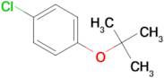 1-(tert-Butoxy)-4-chlorobenzene