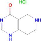 5,6,7,8-Tetrahydropyrido[4,3-d]pyrimidin-4(3H)-one hydrochloride